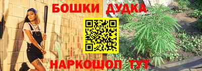 шишки Ставрополь