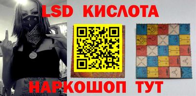 шишки Ставрополь