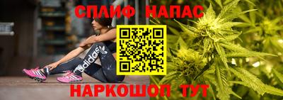 шишки Ставрополь