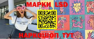 шишки Ставрополь